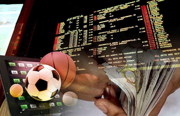 Everything You Need to Know About Moyo Bet 14 Everything You Need to Know About Moyo Bet 14