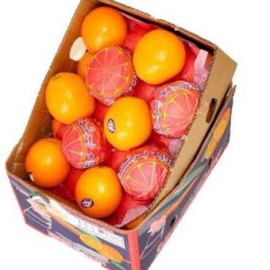 برتقال ابوصرة كرتون صغير