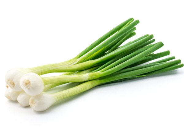 بصل اخضر ربطة