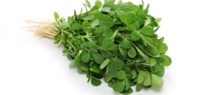 ورق الحلبه ربطة