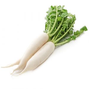 فجل ابيض ربطة