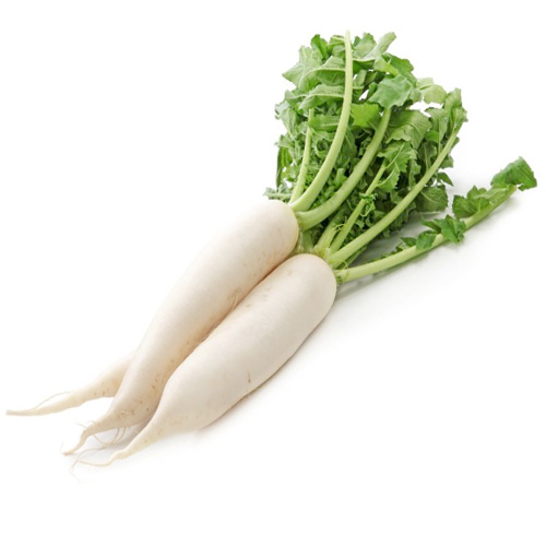 فجل ابيض ربطة