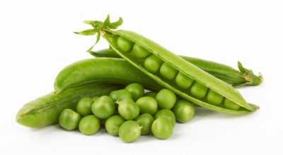 بازلا 500 جرام