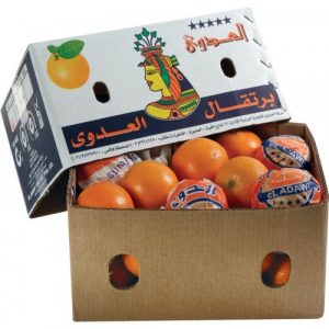 برتقال عصير كرتون كبير