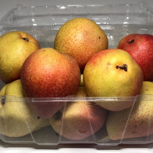 [:ar]كمثرا سلة [:en]كمثرا سلة سلة[:]