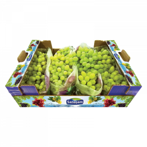 عنب اخضر كرتون