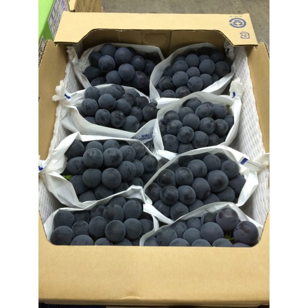 عنب اسود كرتون