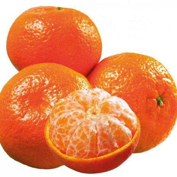 يوسفي مصري 500 جرام