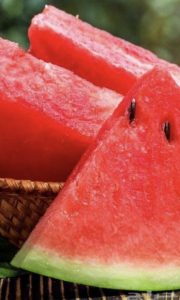 [:ar]حبحب طويل [:en]حبحب طويل (ساجر) الحبه[:]