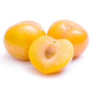 بخارى اصفر فلين