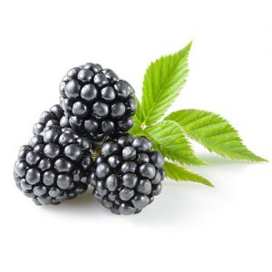 توت اسود علبة