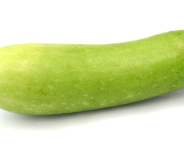 قرع هندي كيلو1