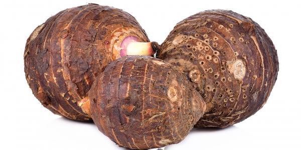 قلقاس 500 جرام