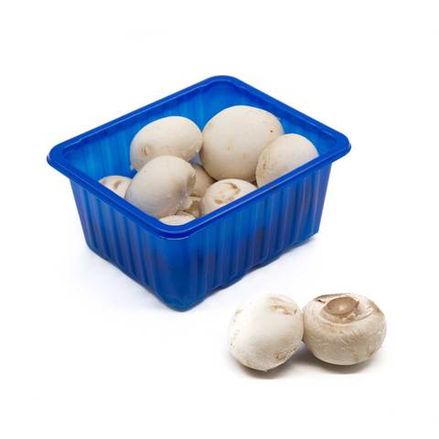 فطر ابيض طازج علبه