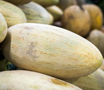 [:ar]شمام روسي[:]