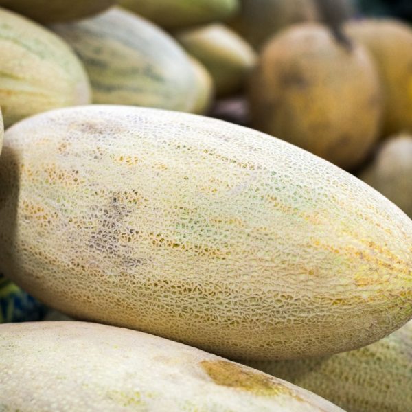 [:ar]شمام روسي[:]