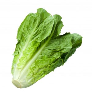 خس بلدي كيلو1