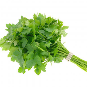 بقدونس ربطة