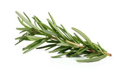 اكليل الجبل