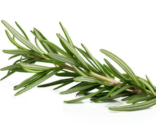 اكليل الجبل