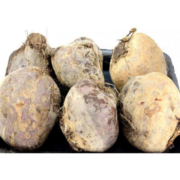 3فلين شمندر 10ريال