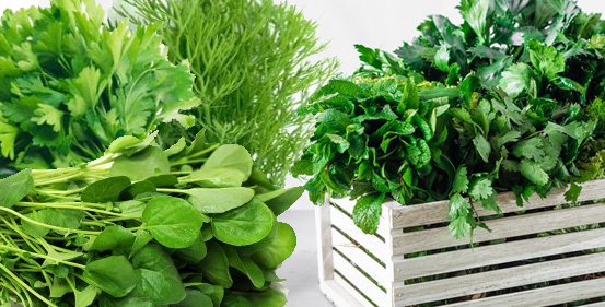 صندوق الورقيات العائلي