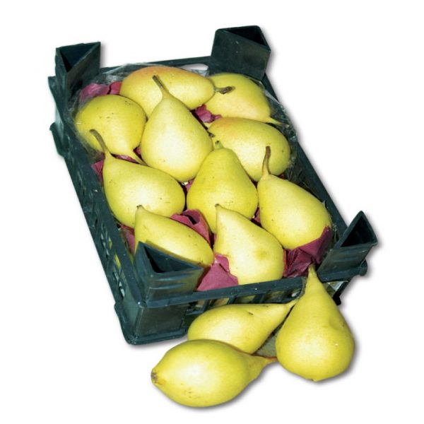 [:ar]كمثرا سوريه[:en]كمثرا طبق سوريه طبق[:]