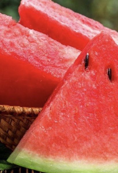 [:ar]حبحب طويل [:en]حبحب طويل (ساجر) الحبه[:]