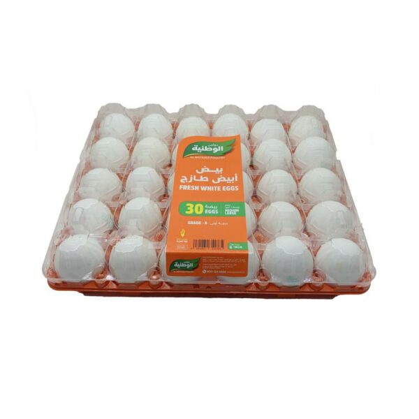 [:ar]بيض الوطنيه[:en]ب[:]